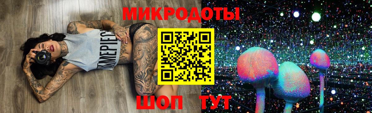 Галлюциногенные грибы Psilocybine cubensis Тутаев