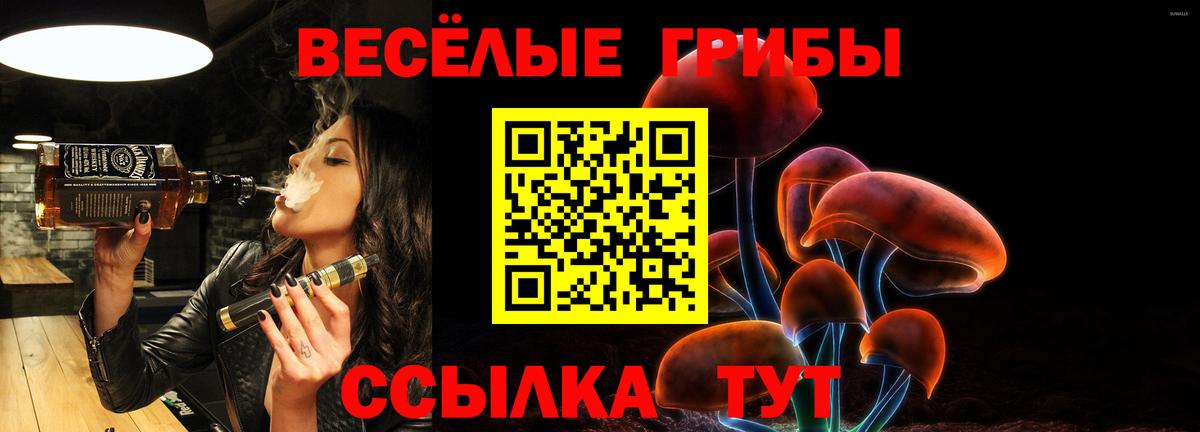 Тутаев  Галлюциногенные грибы ЛСД  Вход с VPN 